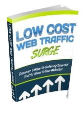 Low Cost Web Traffic Surge